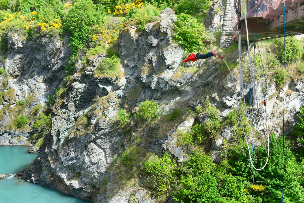 zqn bungy